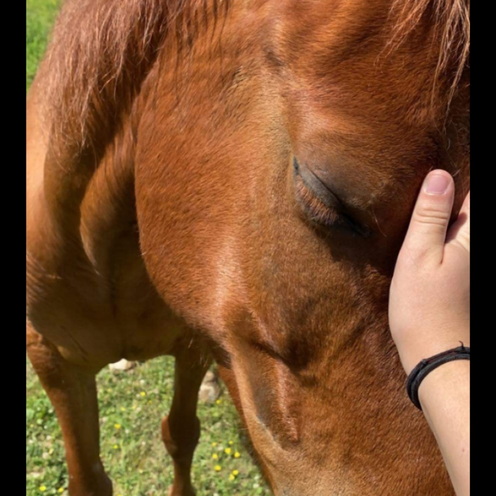 Meet your Posher, Judy